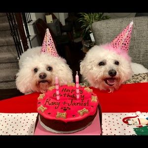 Meet your Posher, Hazel